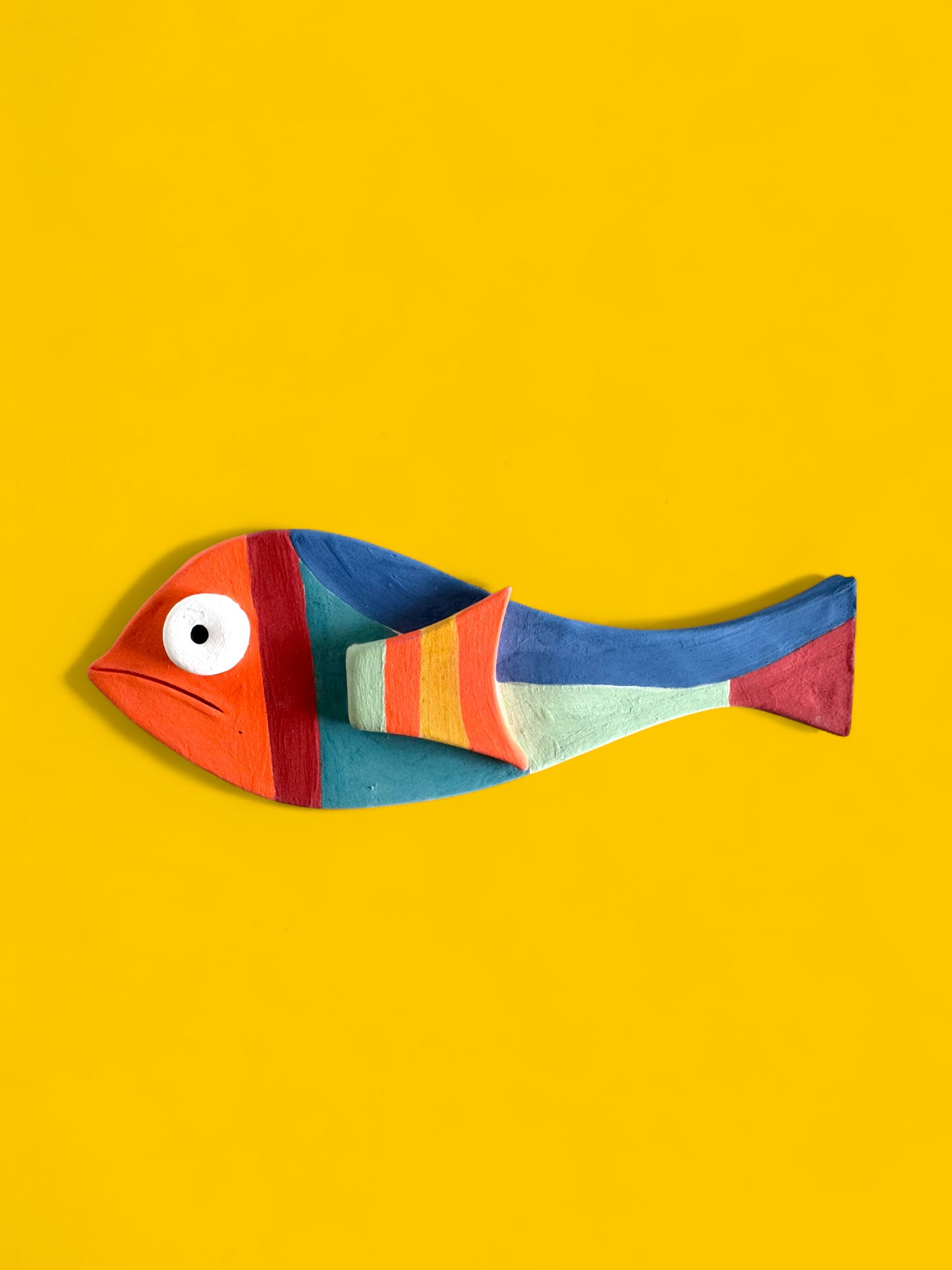 The Colorful  Fish