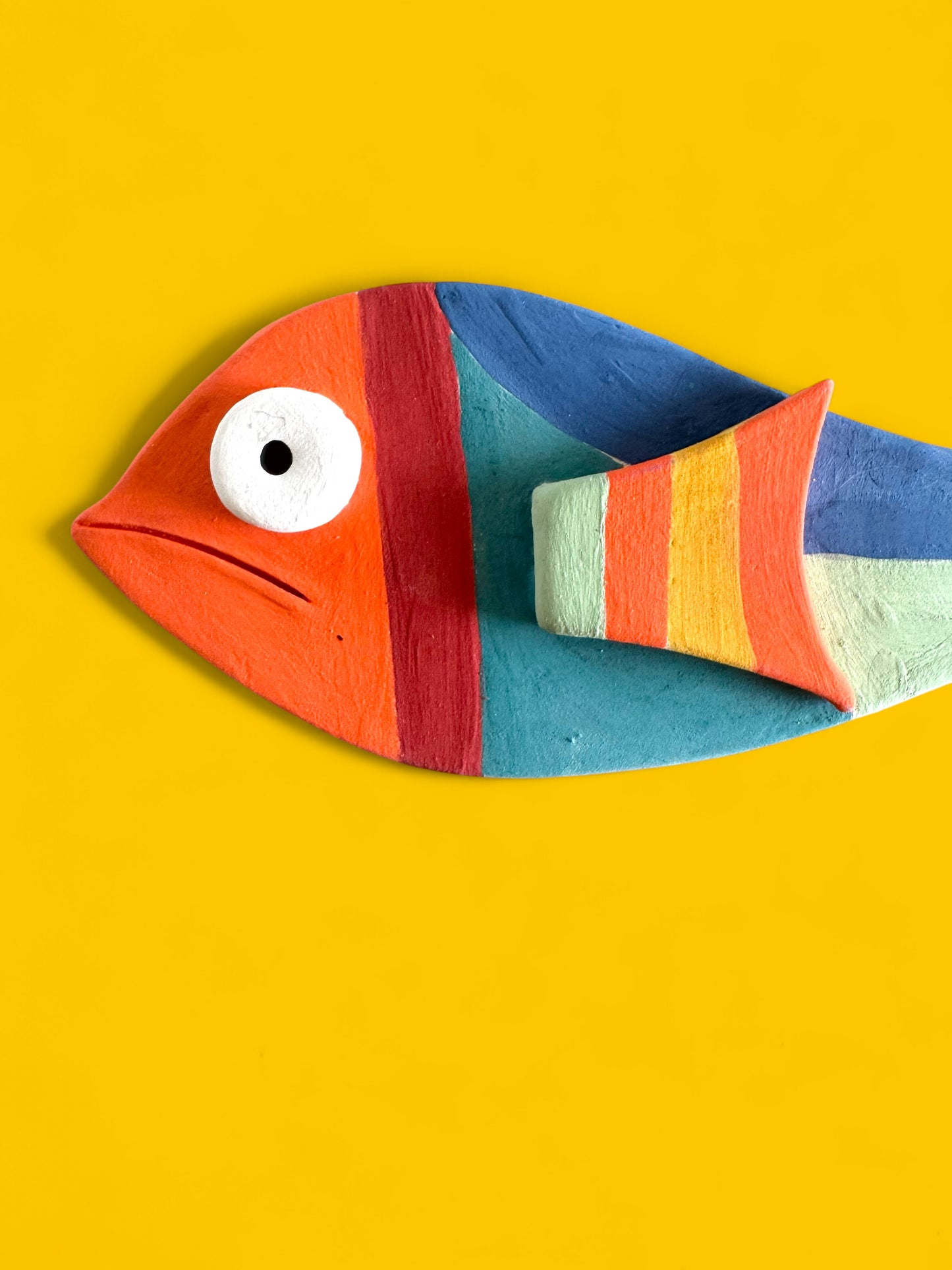 The Colorful  Fish