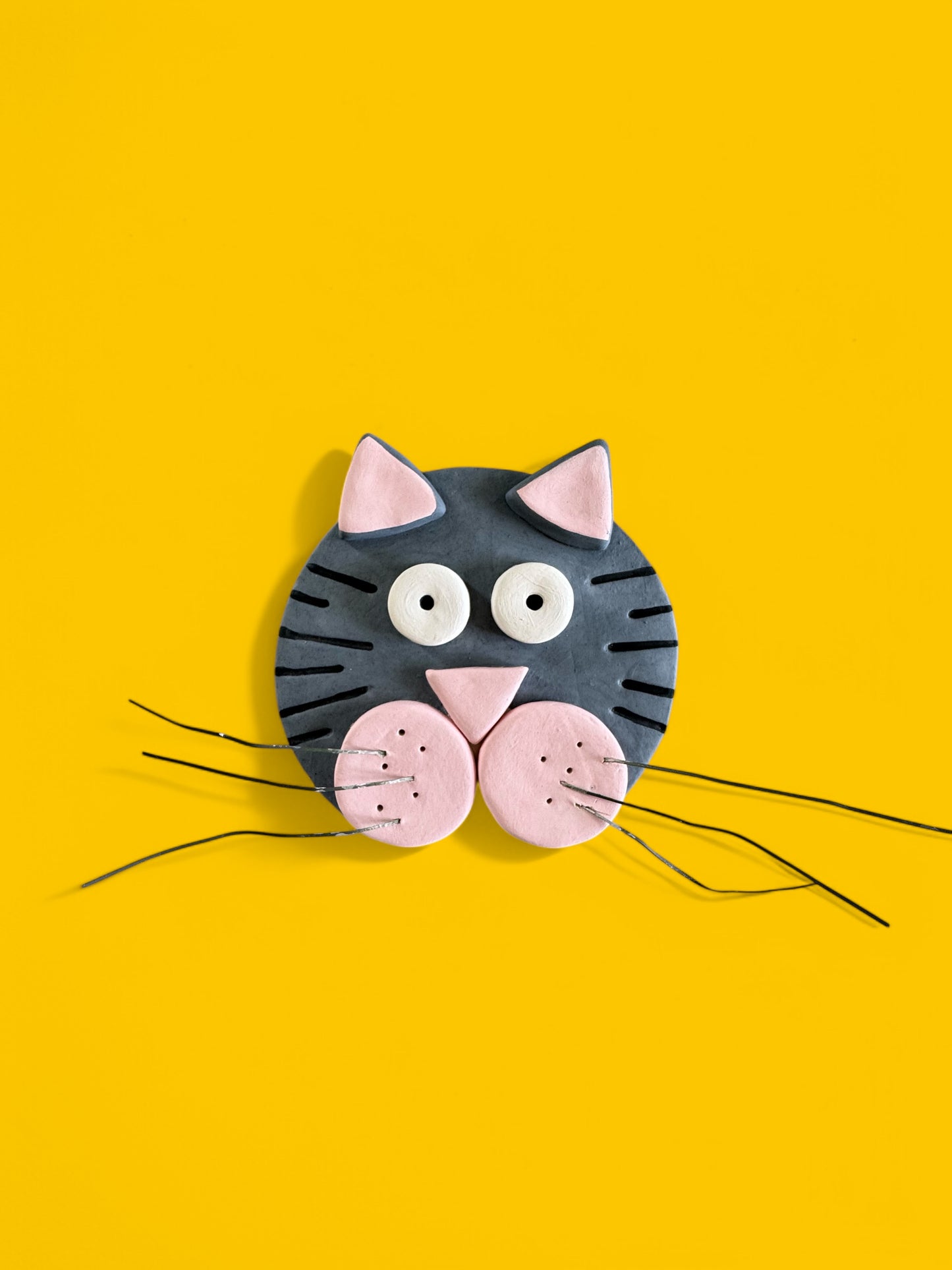 The Whiskered Wall Cat