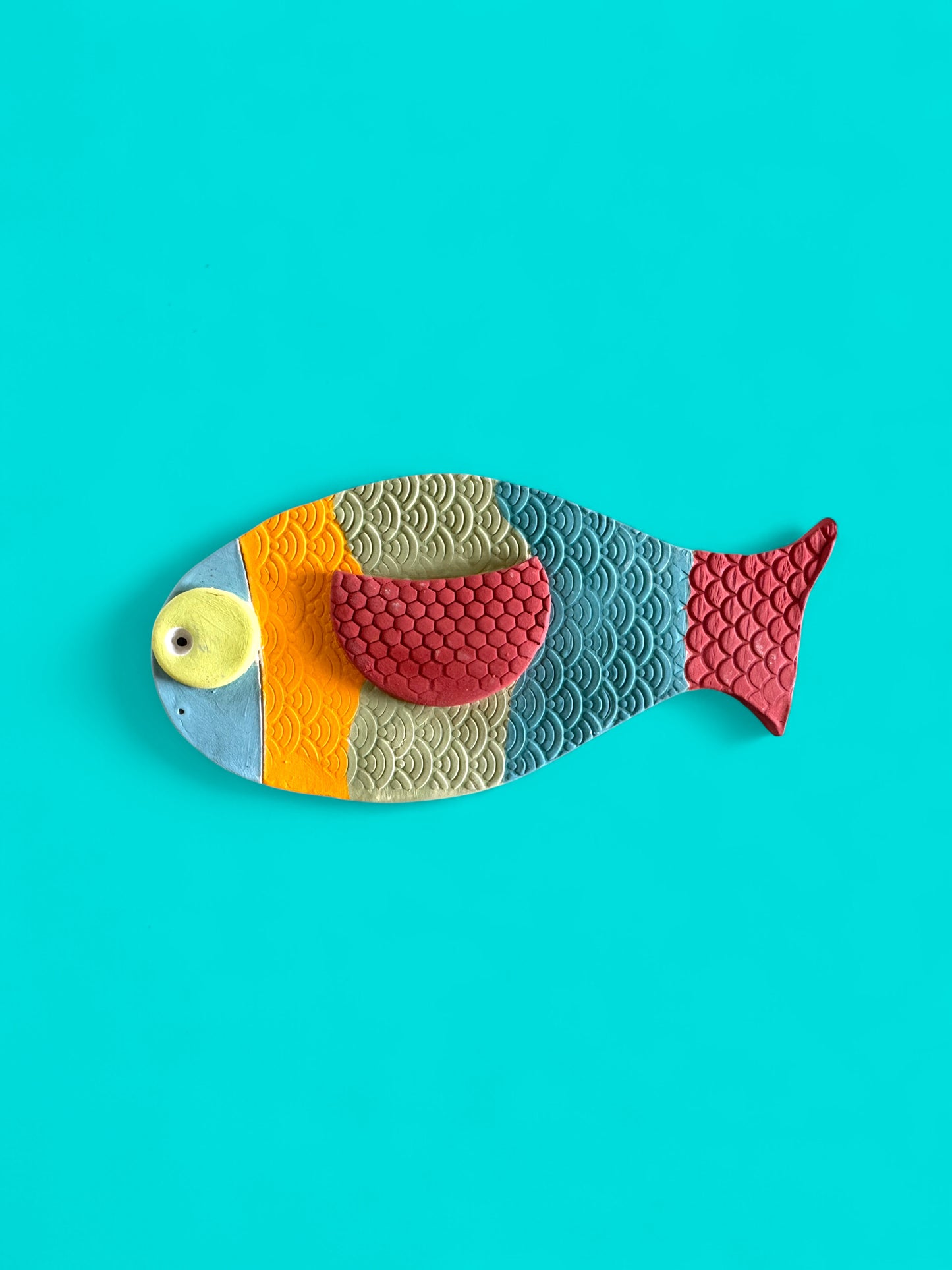 The Big Colorful  Fish