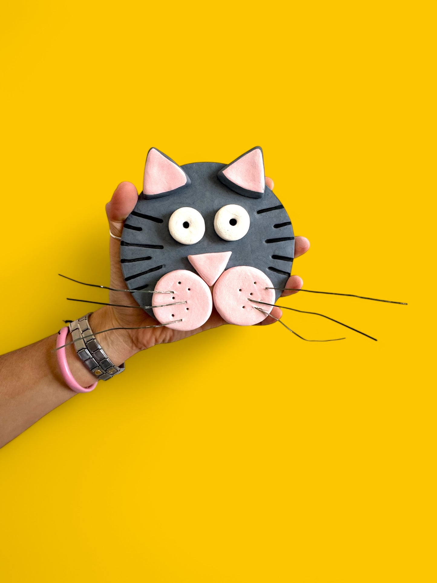 The Whiskered Wall Cat